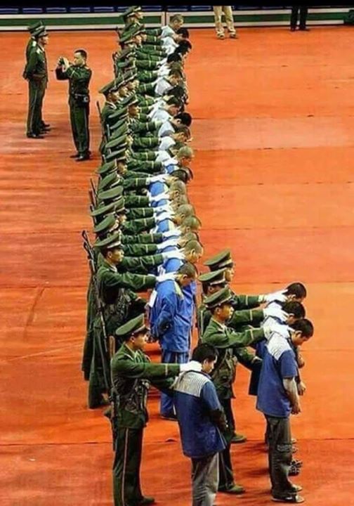 Nen� dostupn� ��dn� alternativn� text.