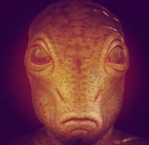 C:\Users\Fujitsu\Desktop\Filmy\Anunaki foto\11263080_1578275855775178_4729805148591021241_n.jpg